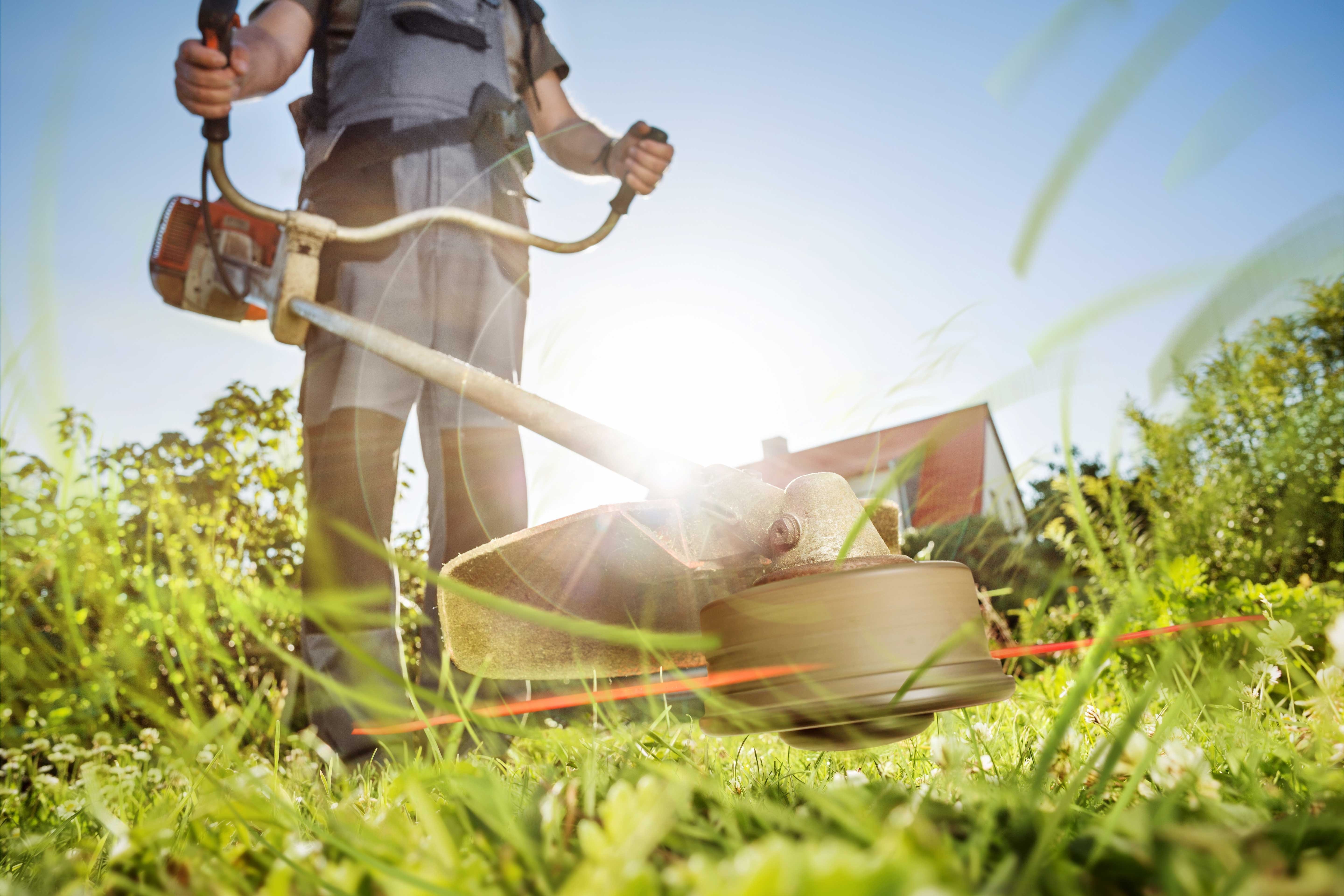 guy using weed cutter to cut weeds